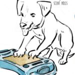 De’ Vora Pet Products
