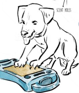 De' Vora Pet Products