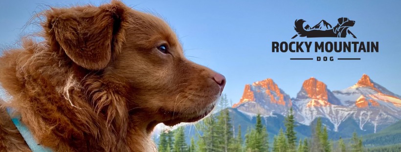 Rocky Mountain Dog