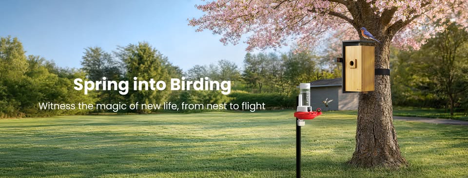 Birdfy